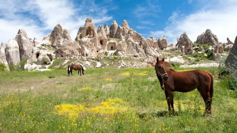 cappadocia travellers, cappadocia balloon tour, cappadocia tours, cappadocia honeymoon, cappadocia balloon flights, cappadocia trip, cappadocia hotels, cappadocia travel, cappadocia jeep, cappadocia red tour, cappadocia green tour, cappadocia turkey